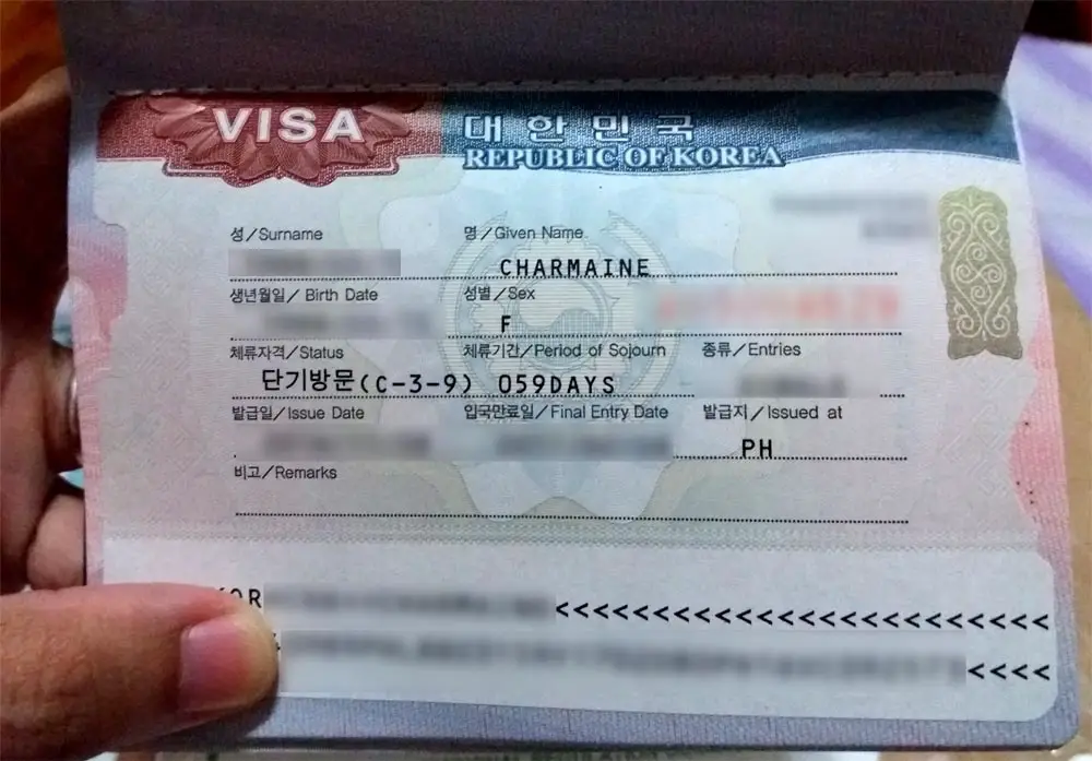 south korean visa approved