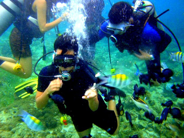 scuba diving in cebu