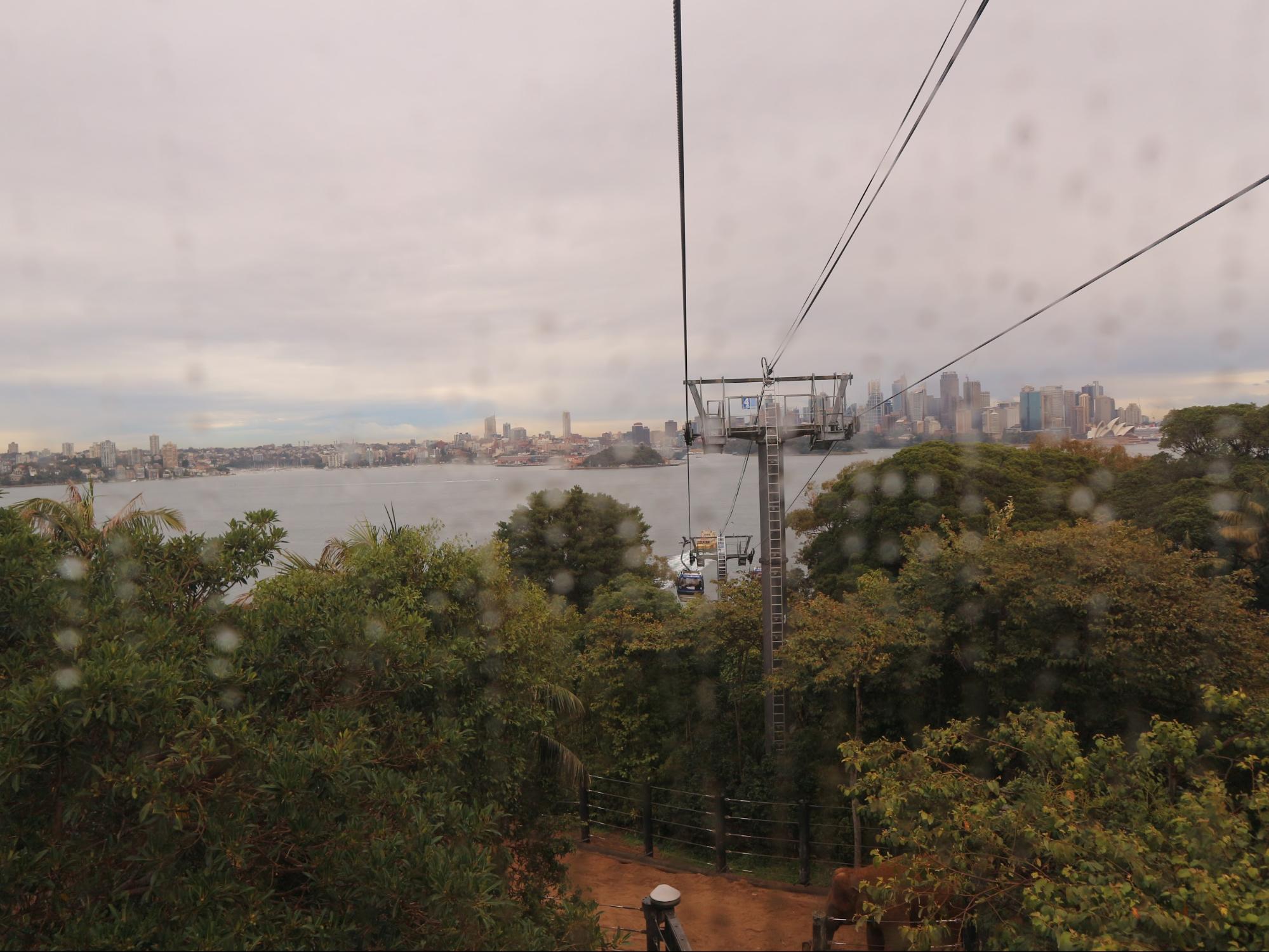 Cable Car in Taronga Zoo