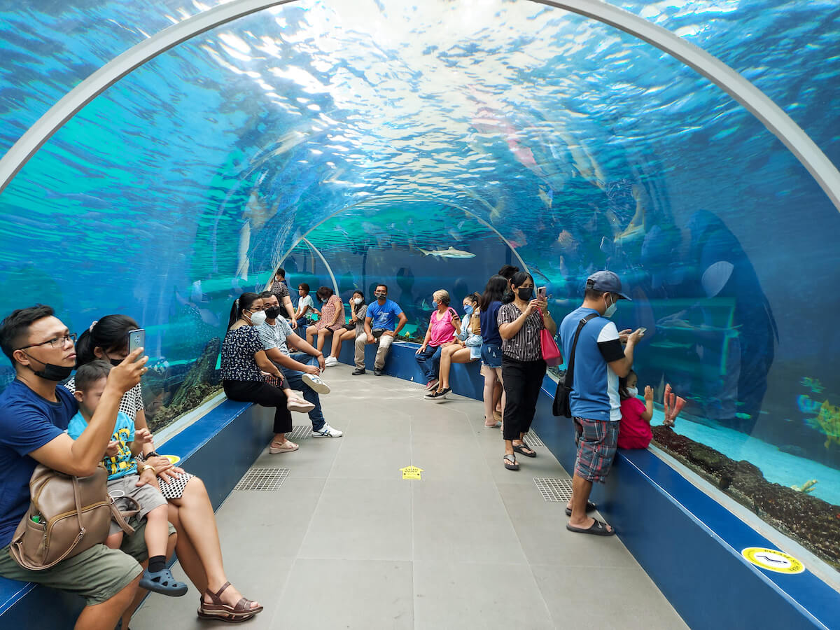 Cebu Ocean Park Guide 2024: Our Experience, Tickets & Tips
