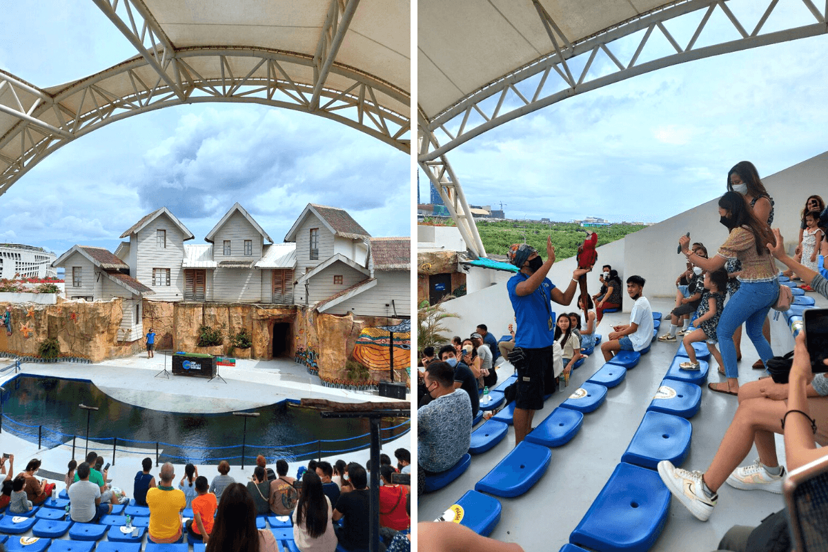 cebu ocean park bird show