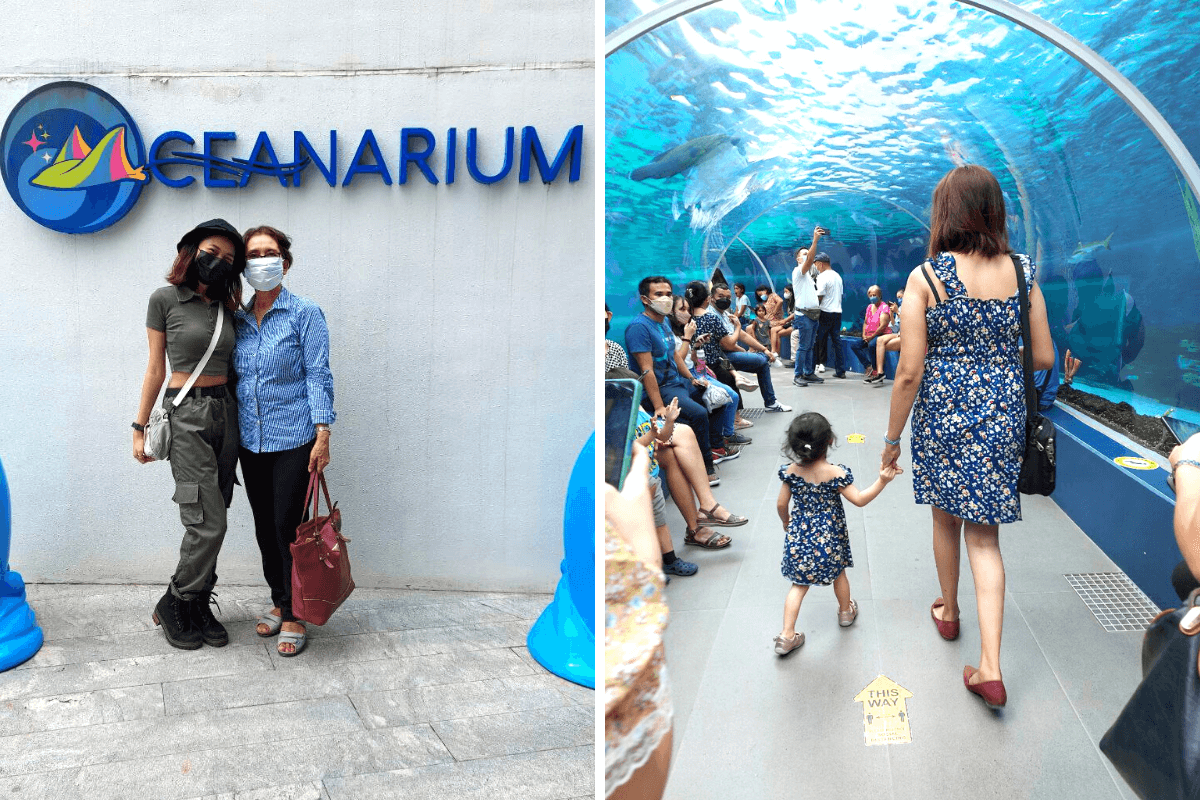 cebu ocean park oceanarium