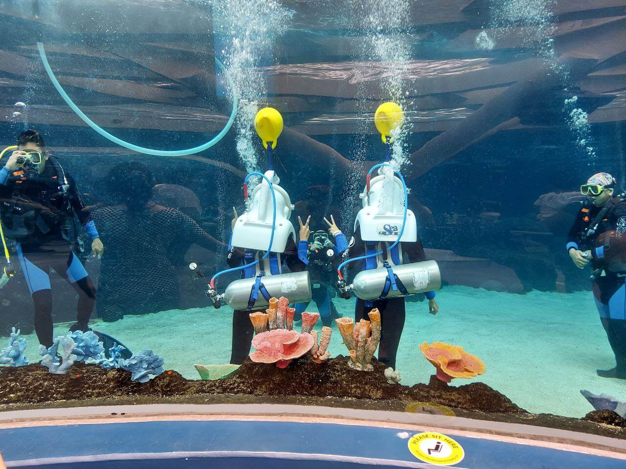 scuba diving at Cebu Ocean Park