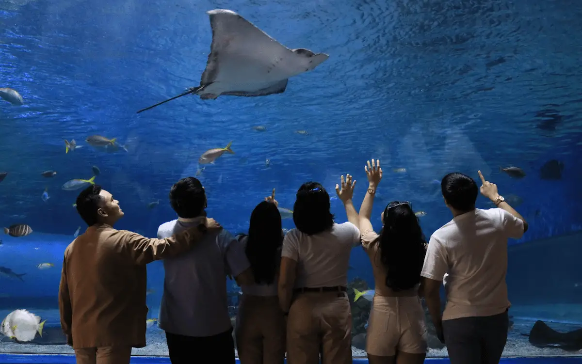 Manila Ocean Park Oceanarium
