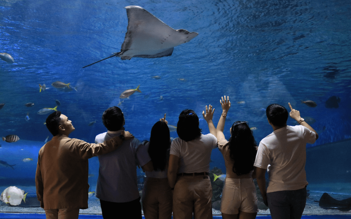 Manila Ocean Park Guide 2024: Attractions, Tickets & Tips