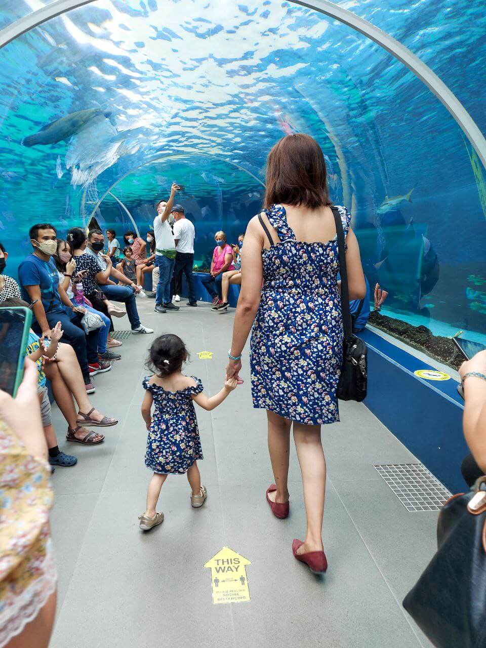 Cebu Ocean Park Oceanarium