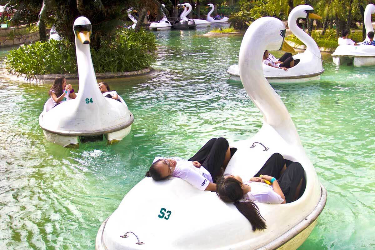 EK Swan Lake