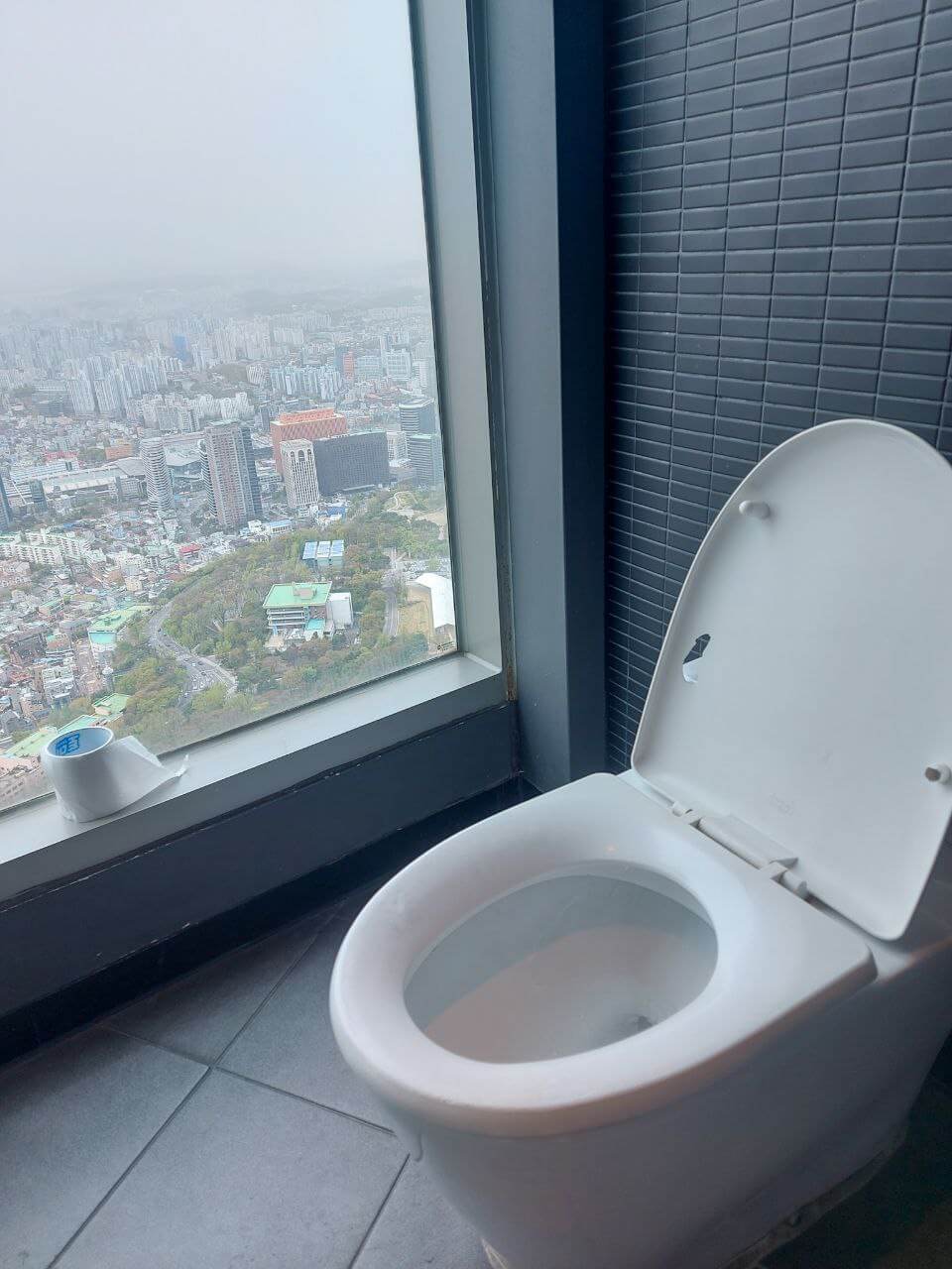 Toilet with a view