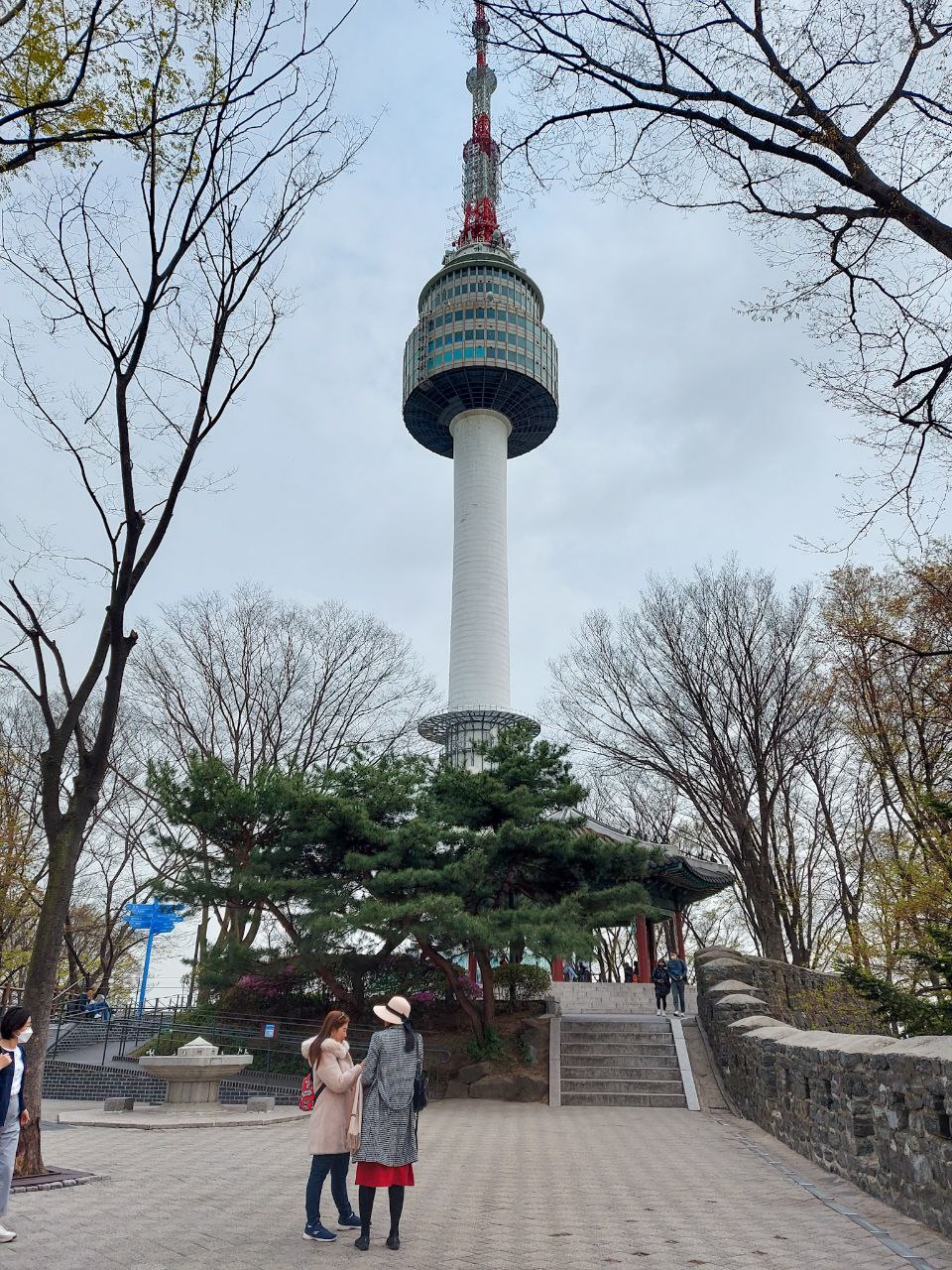 N Seoul Tower during spring in Korea