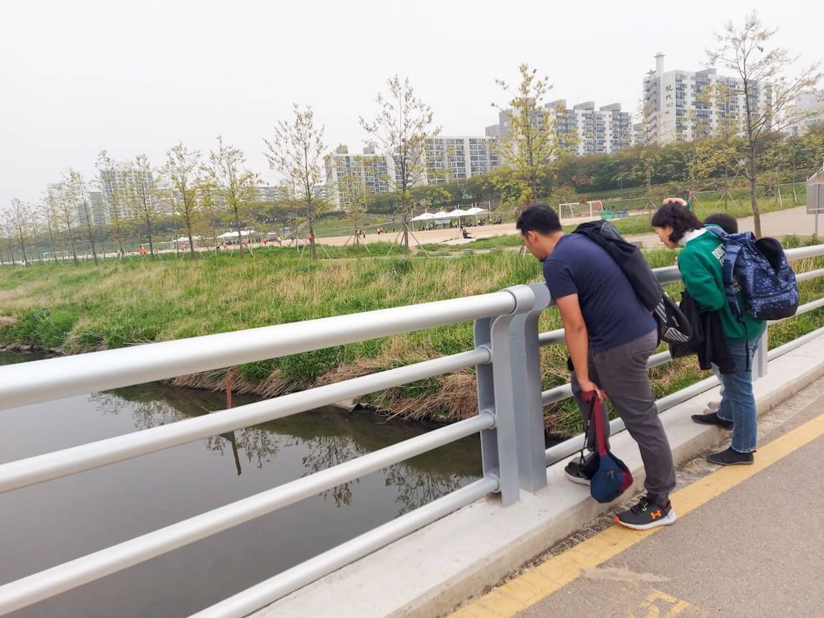 Silgaecheon Ecological Park river