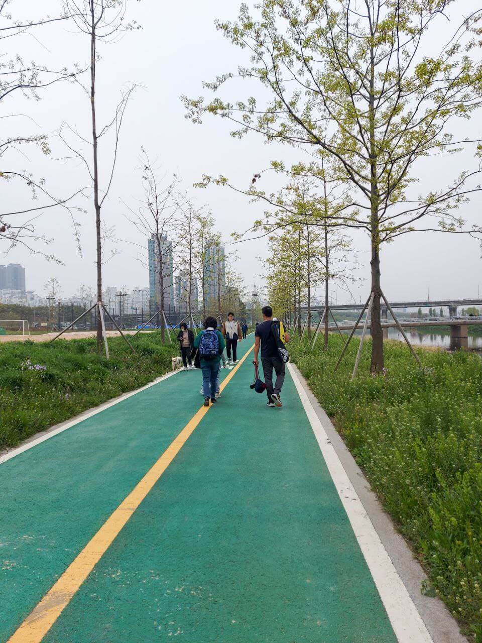 Silgaecheon Ecological Park during spring in Korea