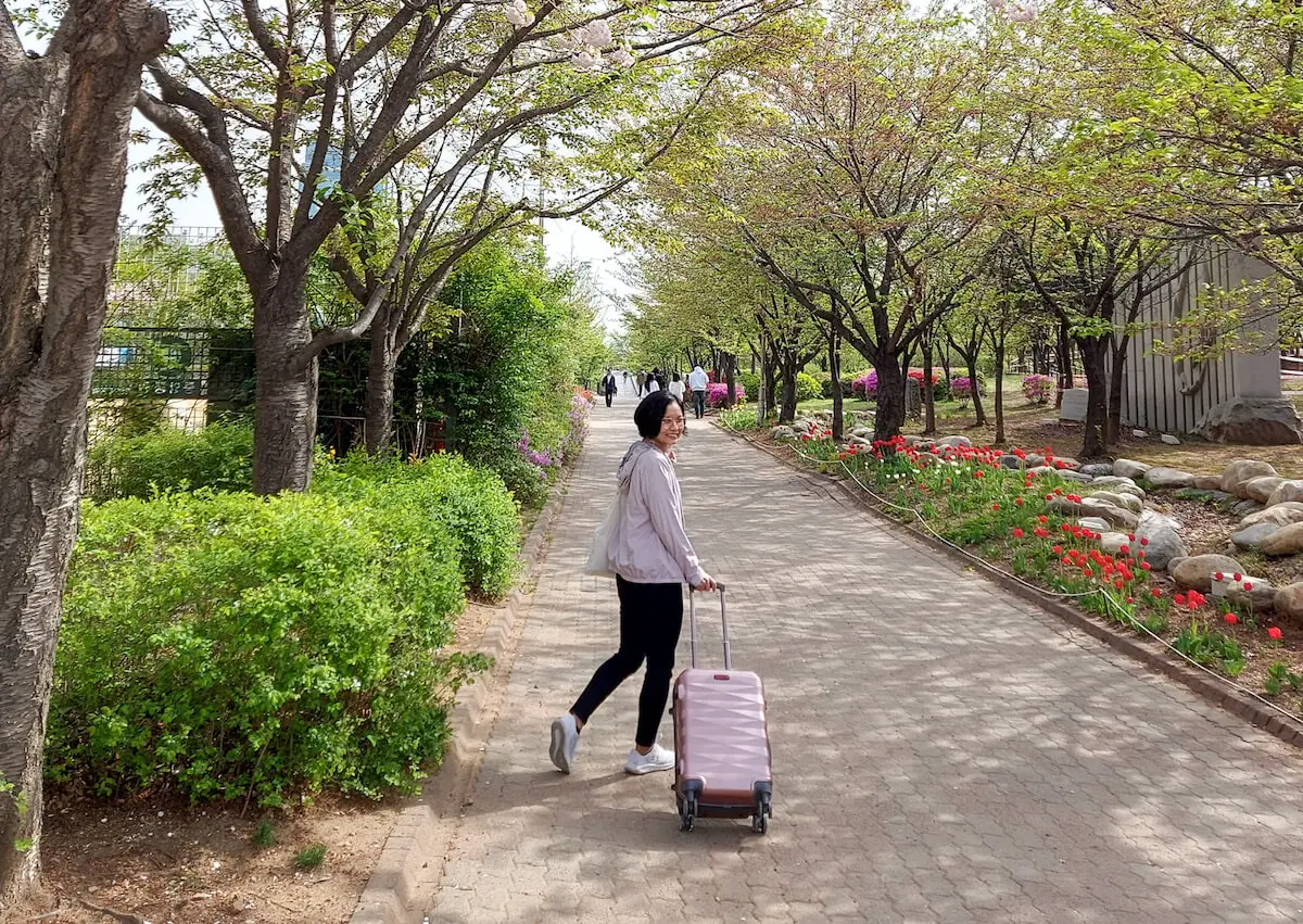 Experiencing spring in Korea after my Korean visa as self-employed was approved