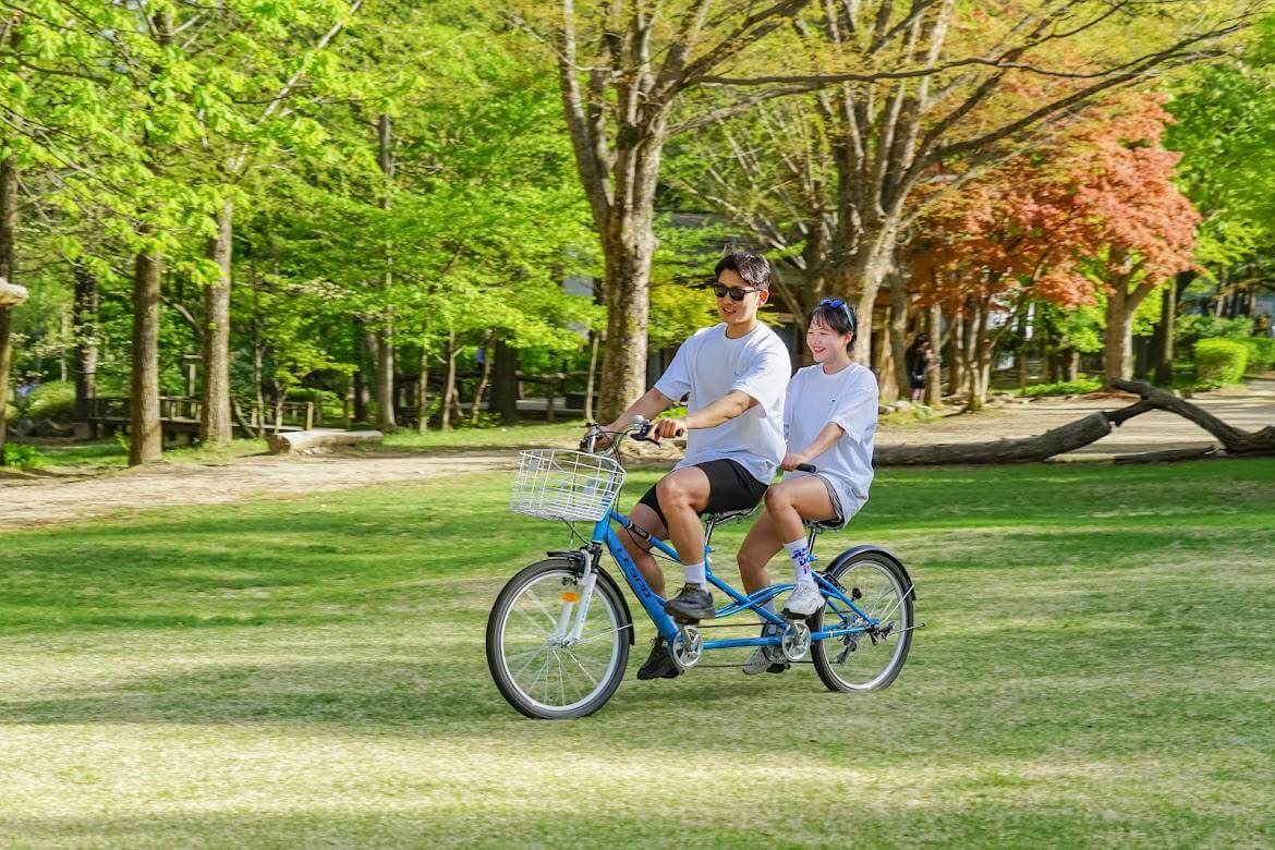 Nami Island bike