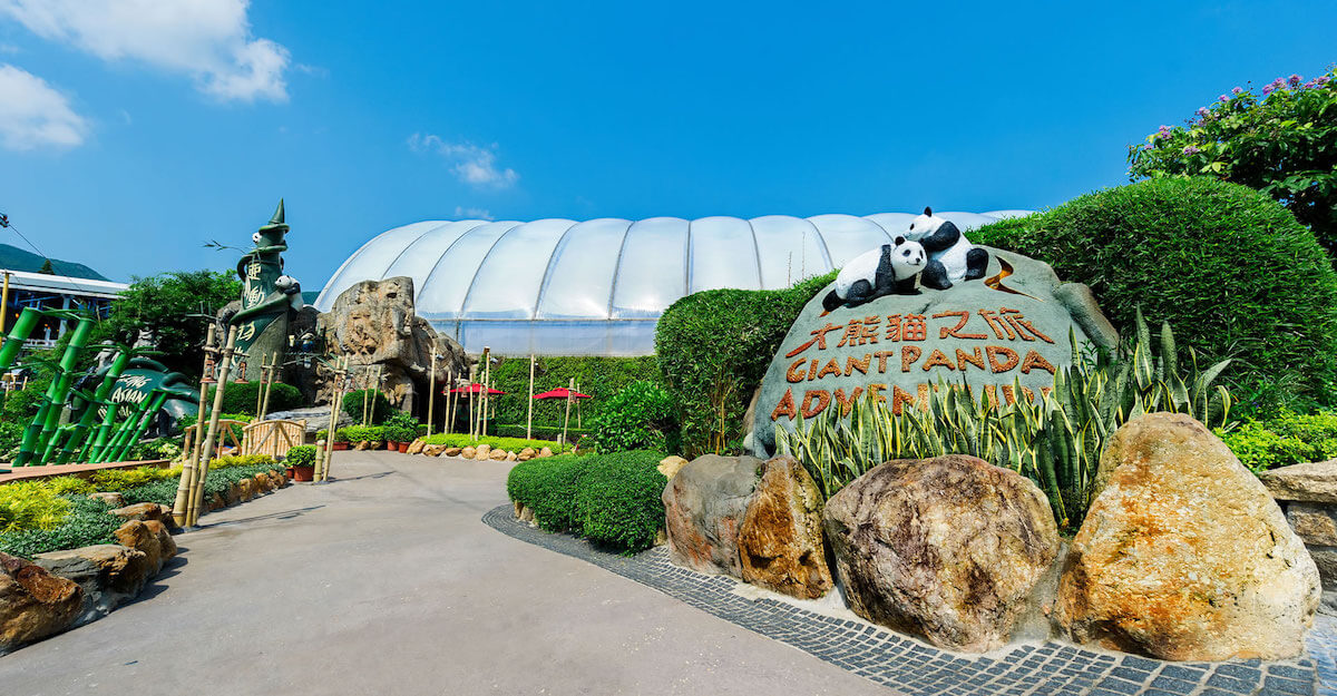 Giant Panda Adventure