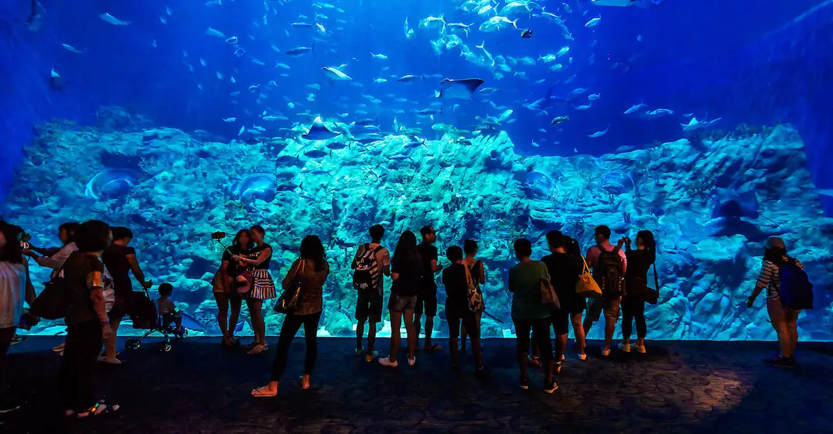 Ocean Park Hong Kong Grand Aquarium