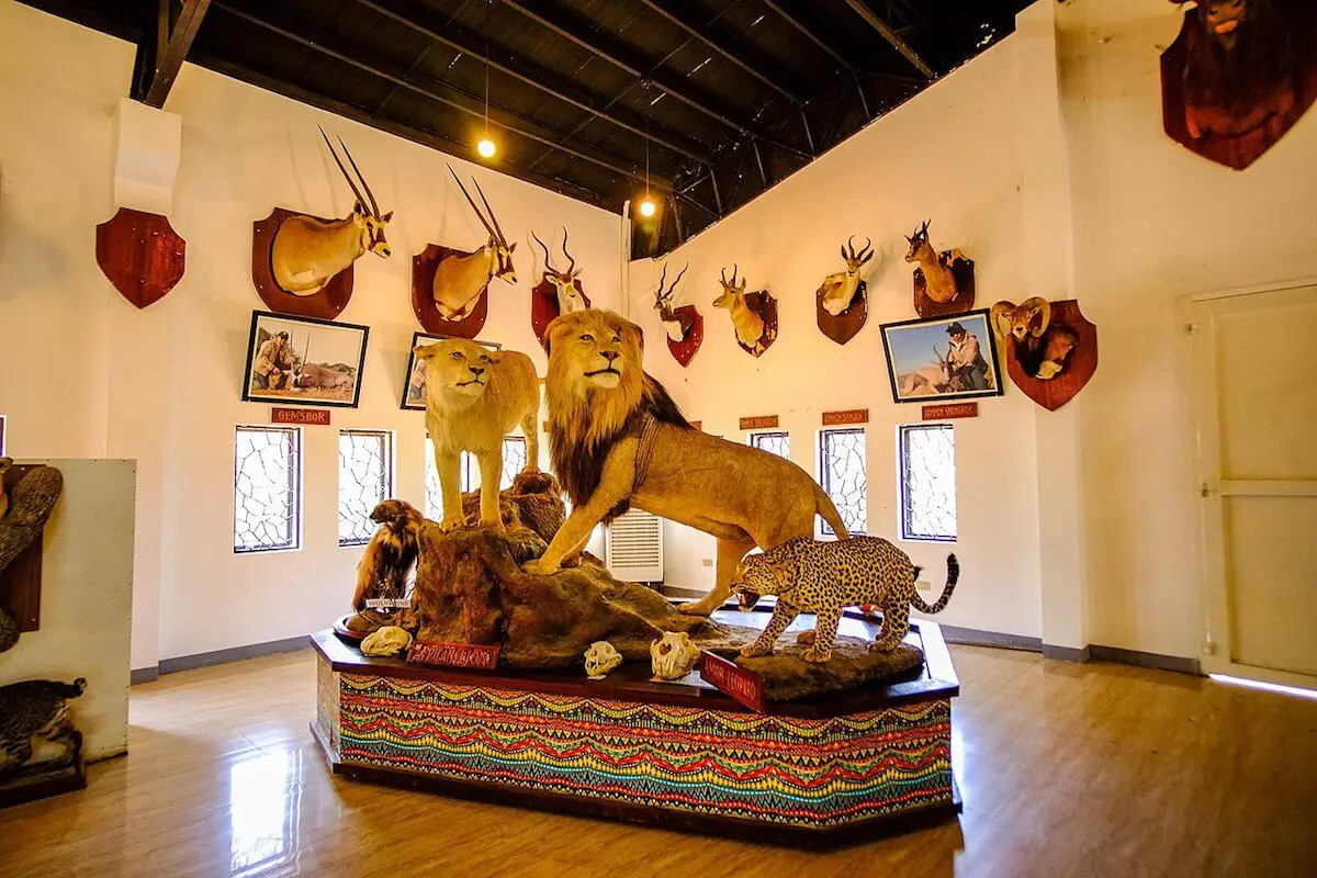 Baluarte Safari Gallery
