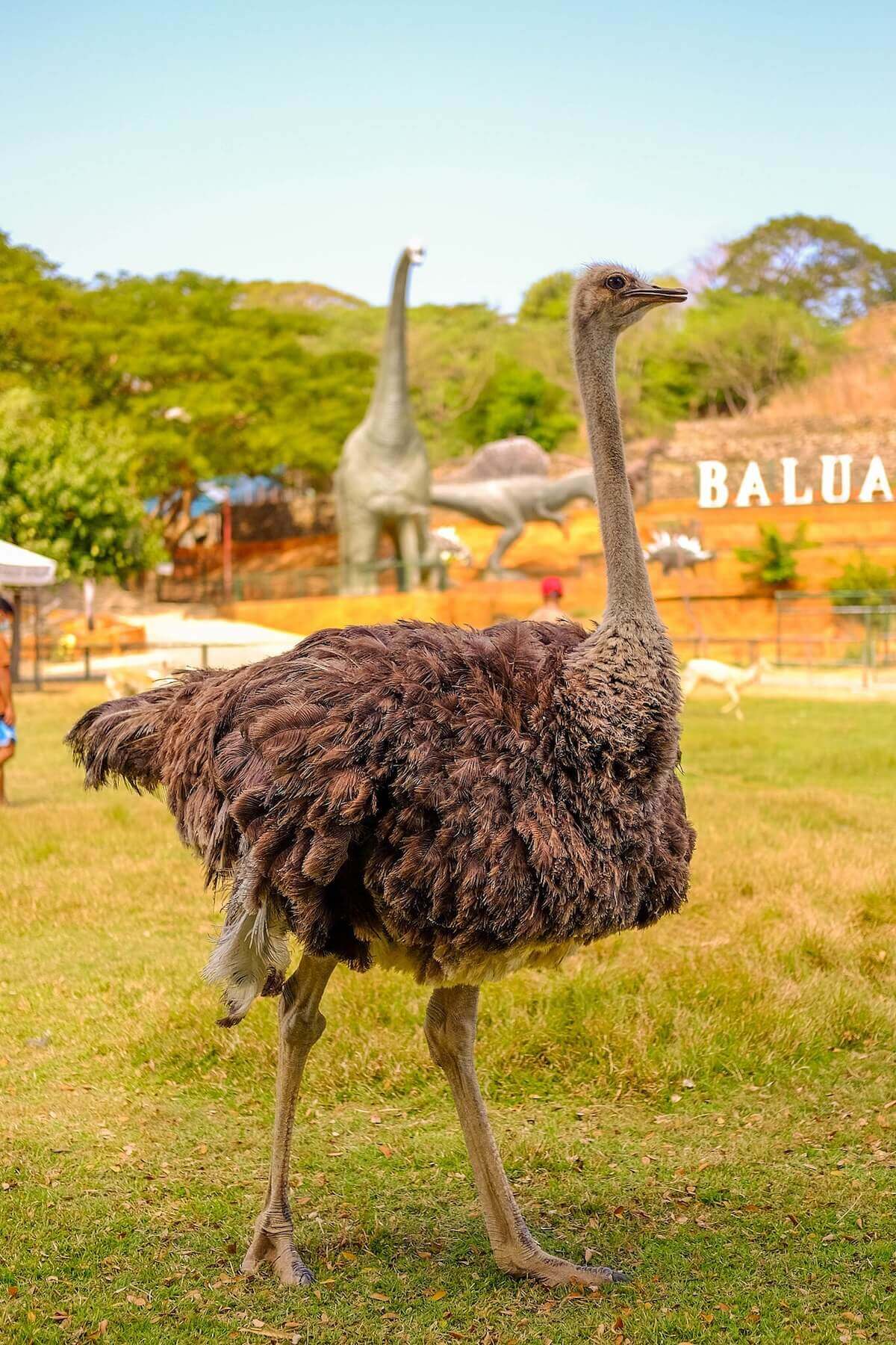 Baluarte Zoo is one of the top attractions in Vigan City