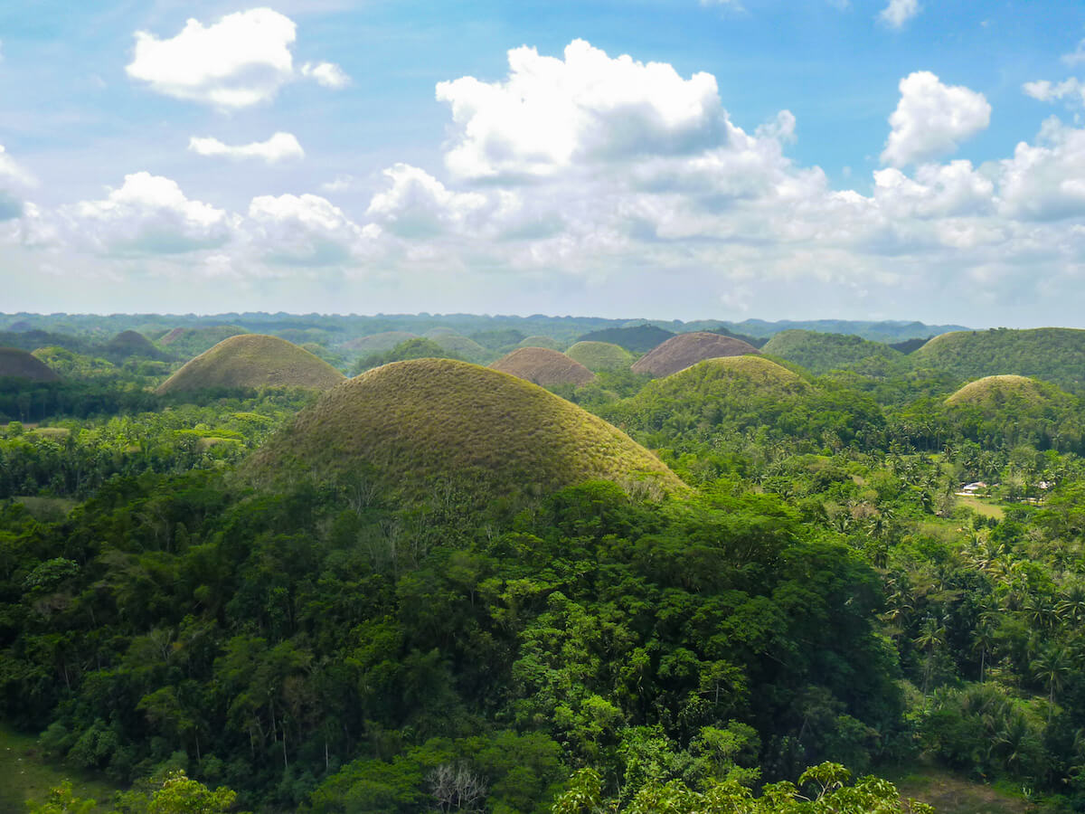 Chocolate Hills is one of the top Bohol attractions