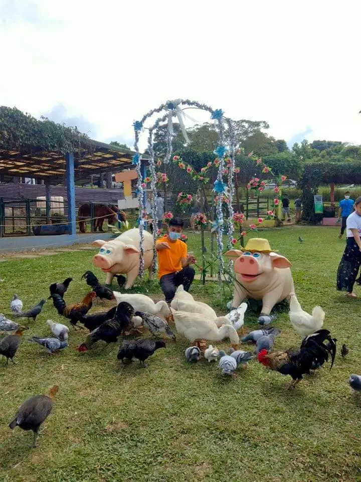 Paradizoo is one of the family-friendly attractions in Tagaytay