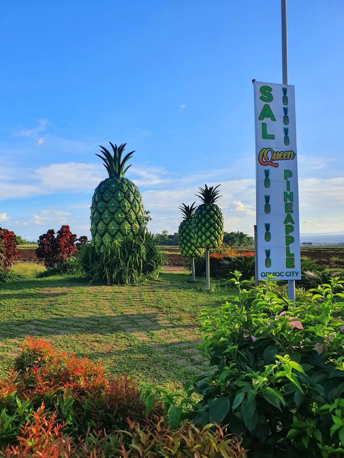 Sal's Pineapple Plantation is one of the top Ormoc tourist spots