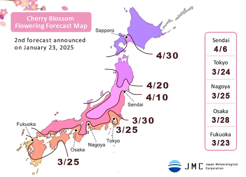 2025 Japan Cherry Blossom Forecast Map & Full Bloom Dates