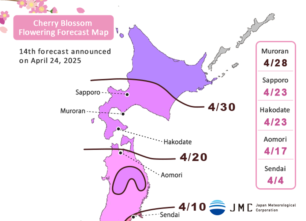 japan cherry blossom forecast (24 Apr 2025)
