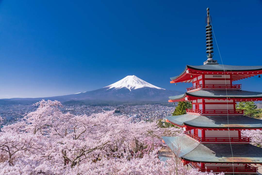 Arakurayama Sengen Park is one of the best Mount Fuji viewing spots