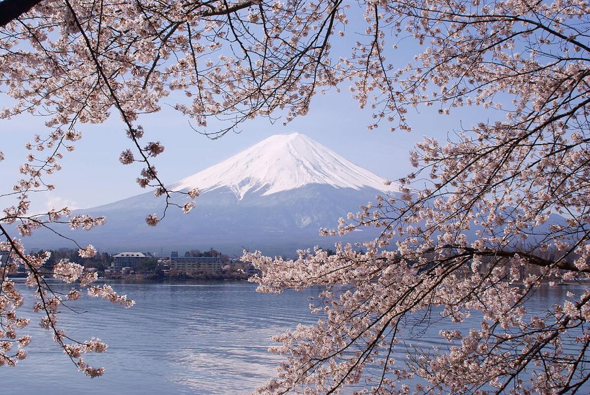 Lake Kawaguchi is one of the best Mount Fuji viewing spots