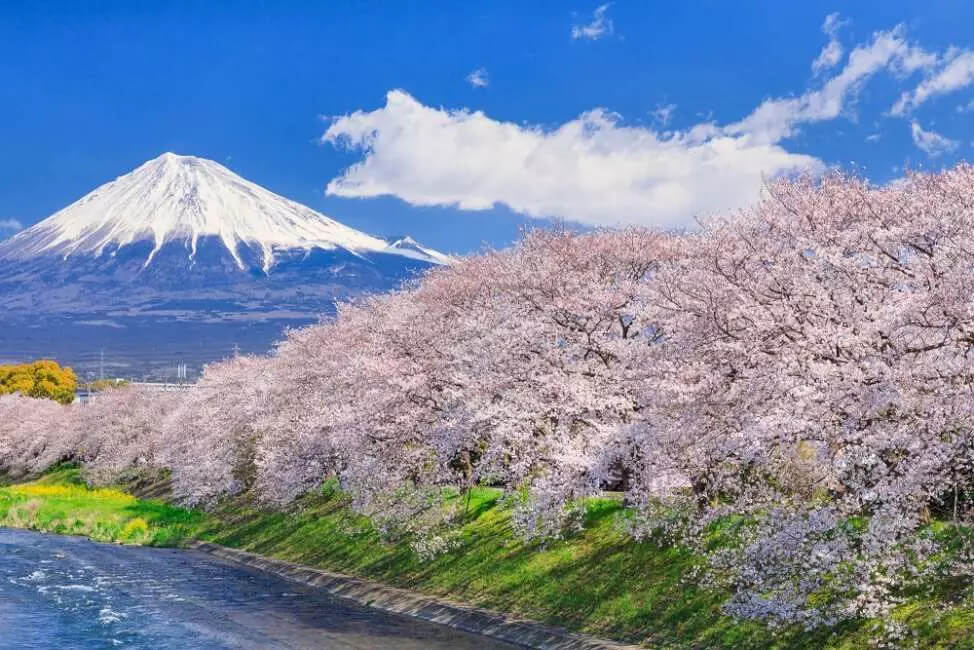 Urui River