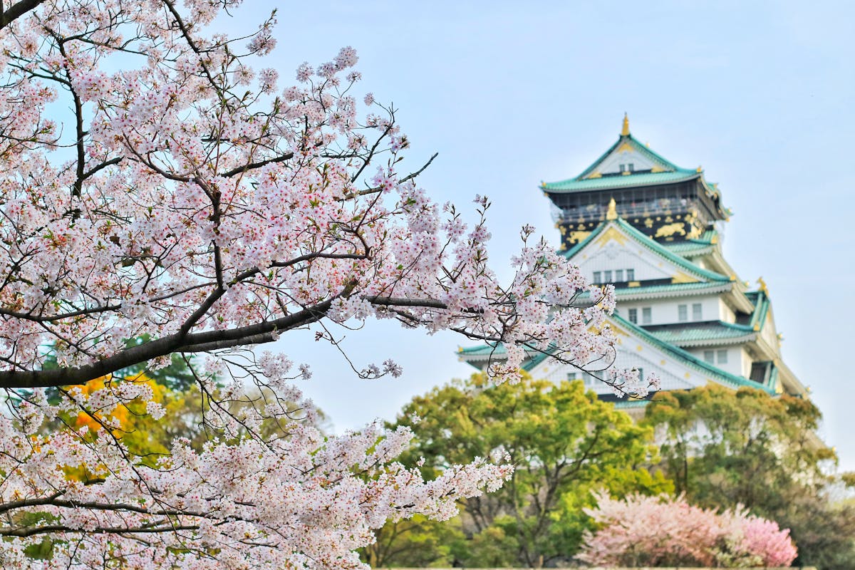 2025 Japan Cherry Blossoms: 10 Best Viewing Spots & Estimated Bloom Dates