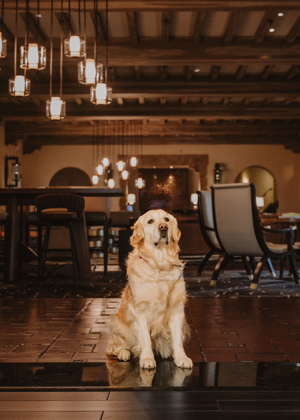 Chardonnay - Fairmont Sonoma Mission Inn & Spa