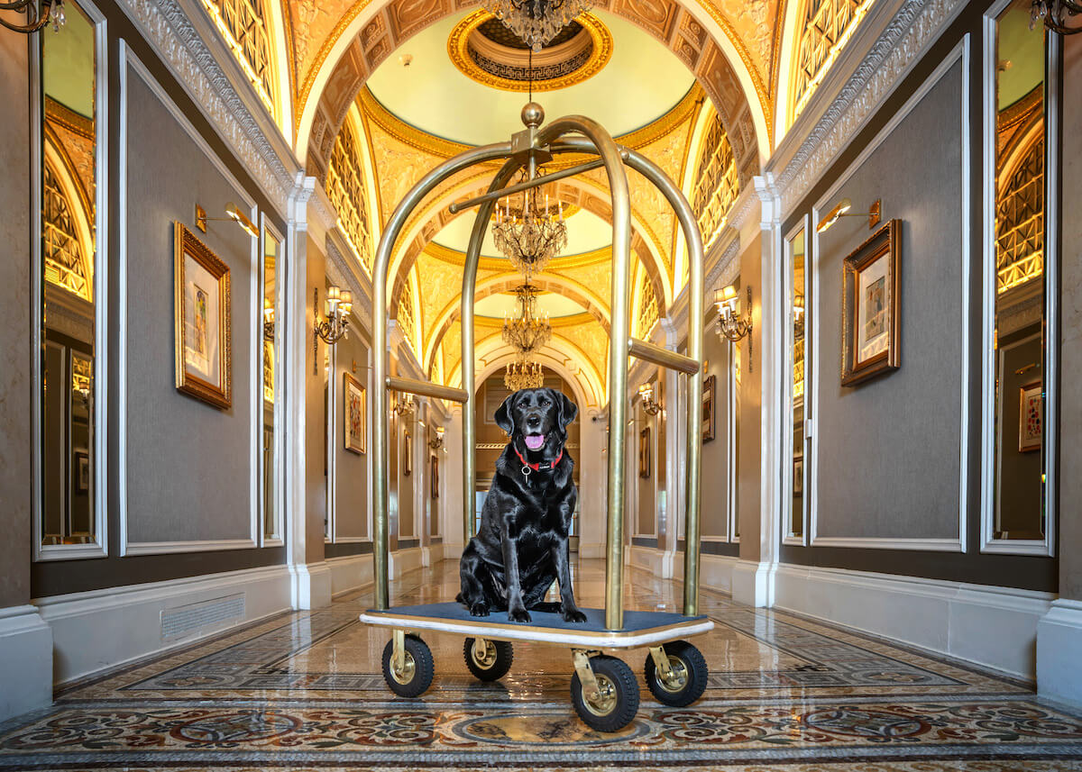 Cori Copley - Fairmont Copley Plaza