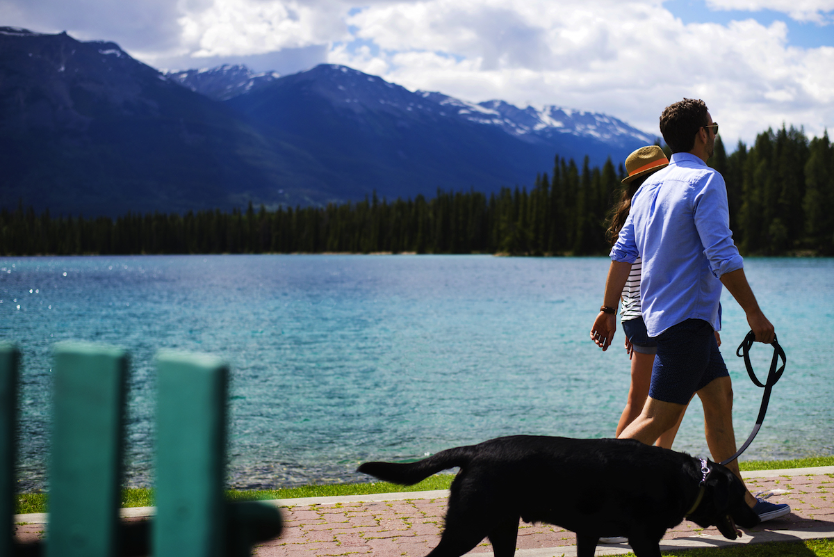 Dog Walking