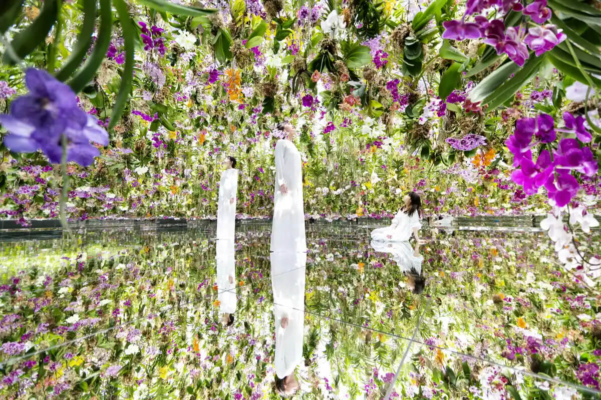 10 Best Tokyo Indoor Attractions to Escape the Heat