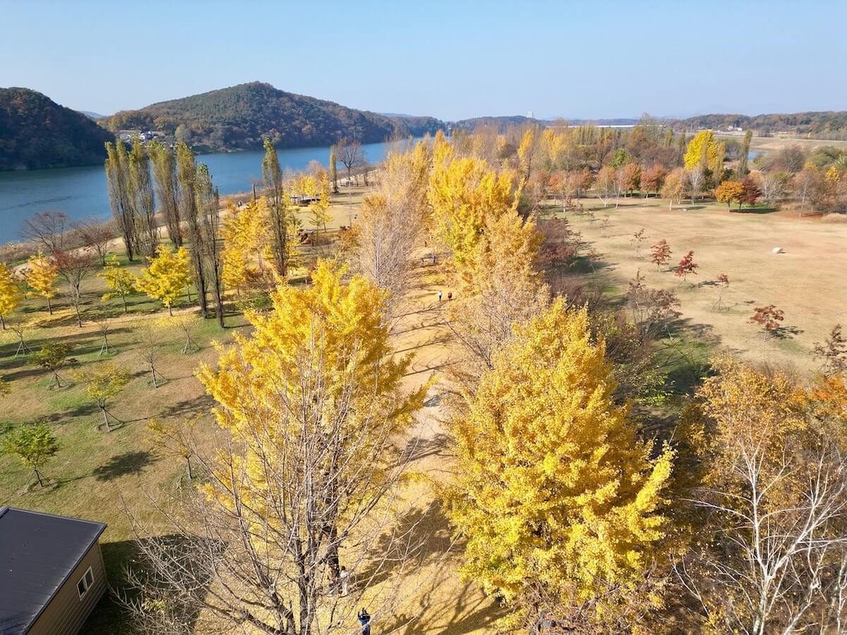 Gangcheon Island in autumn