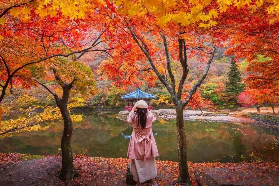 Naejangsan National Park is one of the best places for fall foliage in Korea