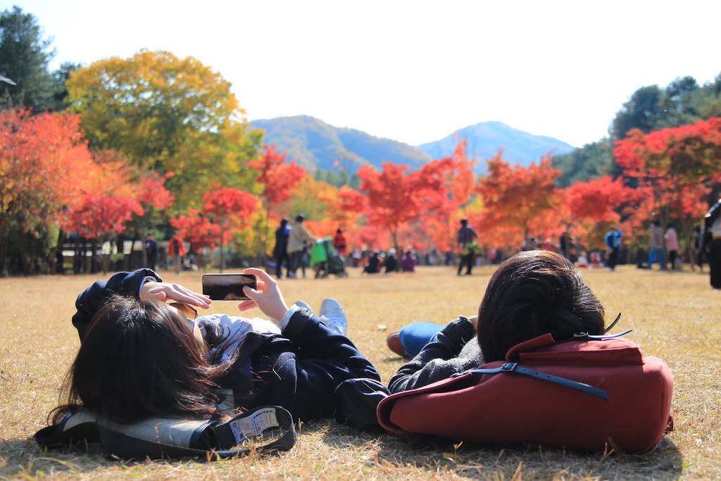 Nami Island is one of the best places for Korea autumn foliage