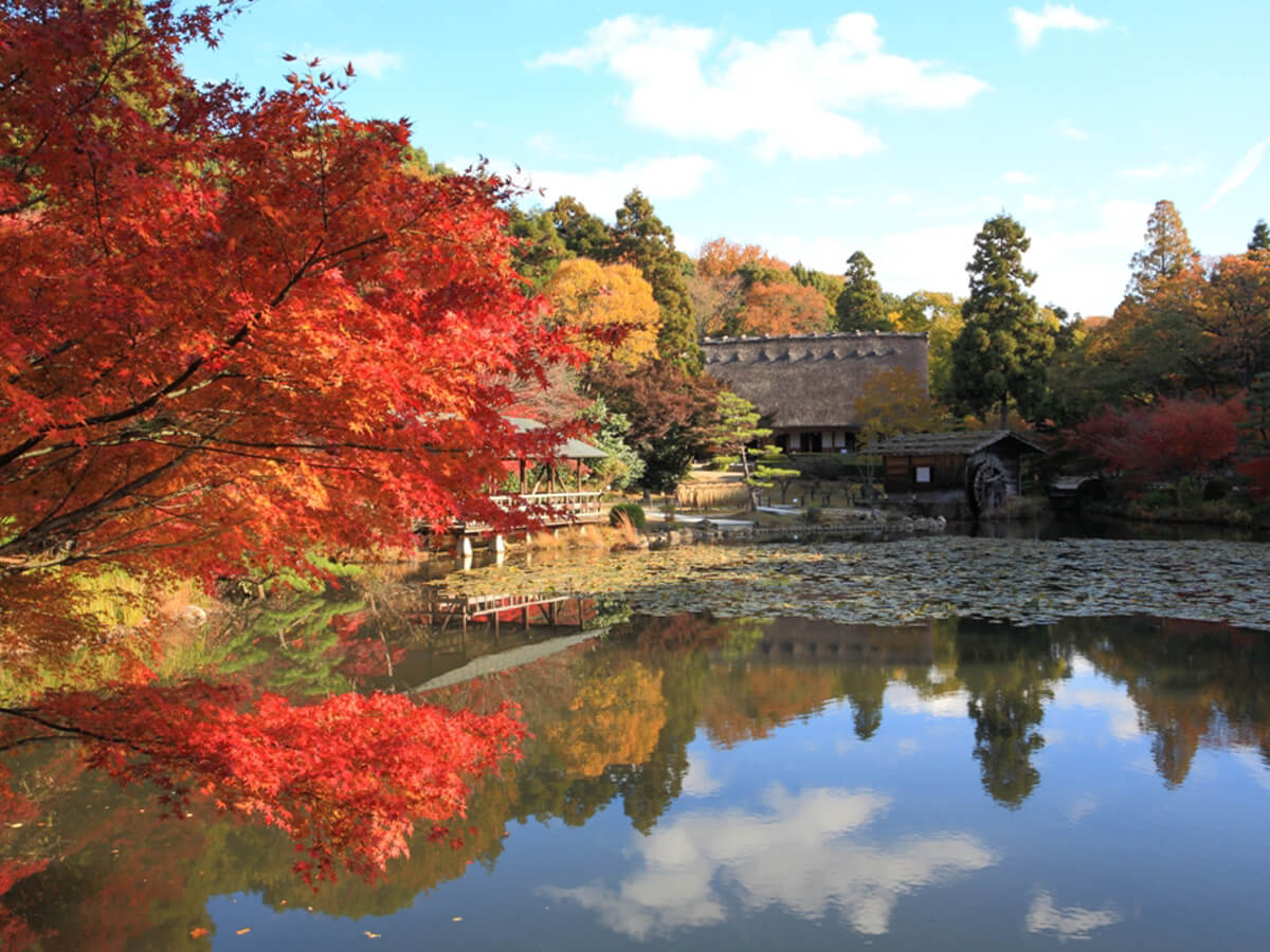 Higashiyama Zoo and Botanical Gardens