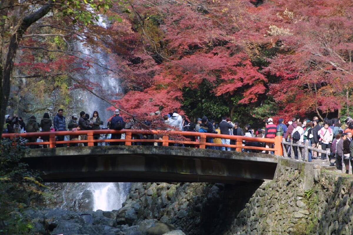 Minoh Park is one of the best places for fall foliage in Japan