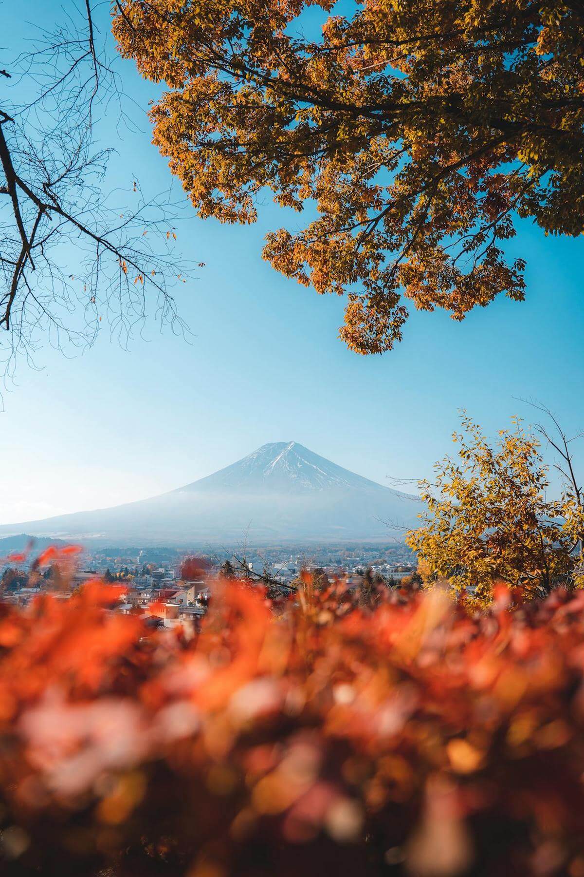 Japan autumn foliage in Mt. Fuji