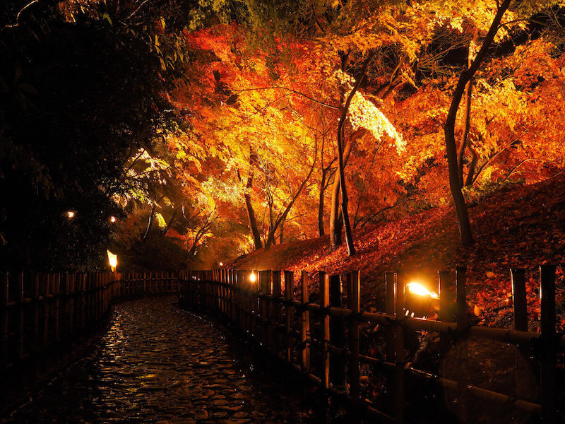 Ritsurin Garden illumination