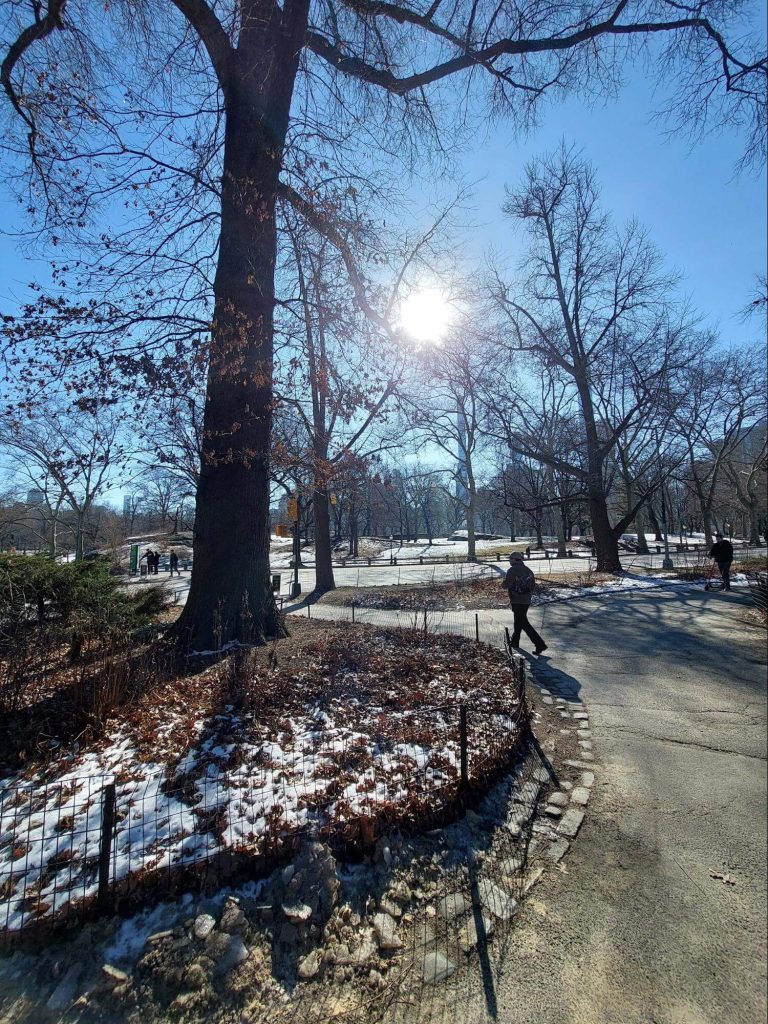 Central Park NYC