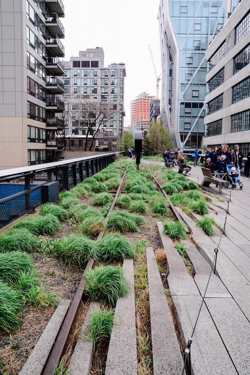 The High Line NYC