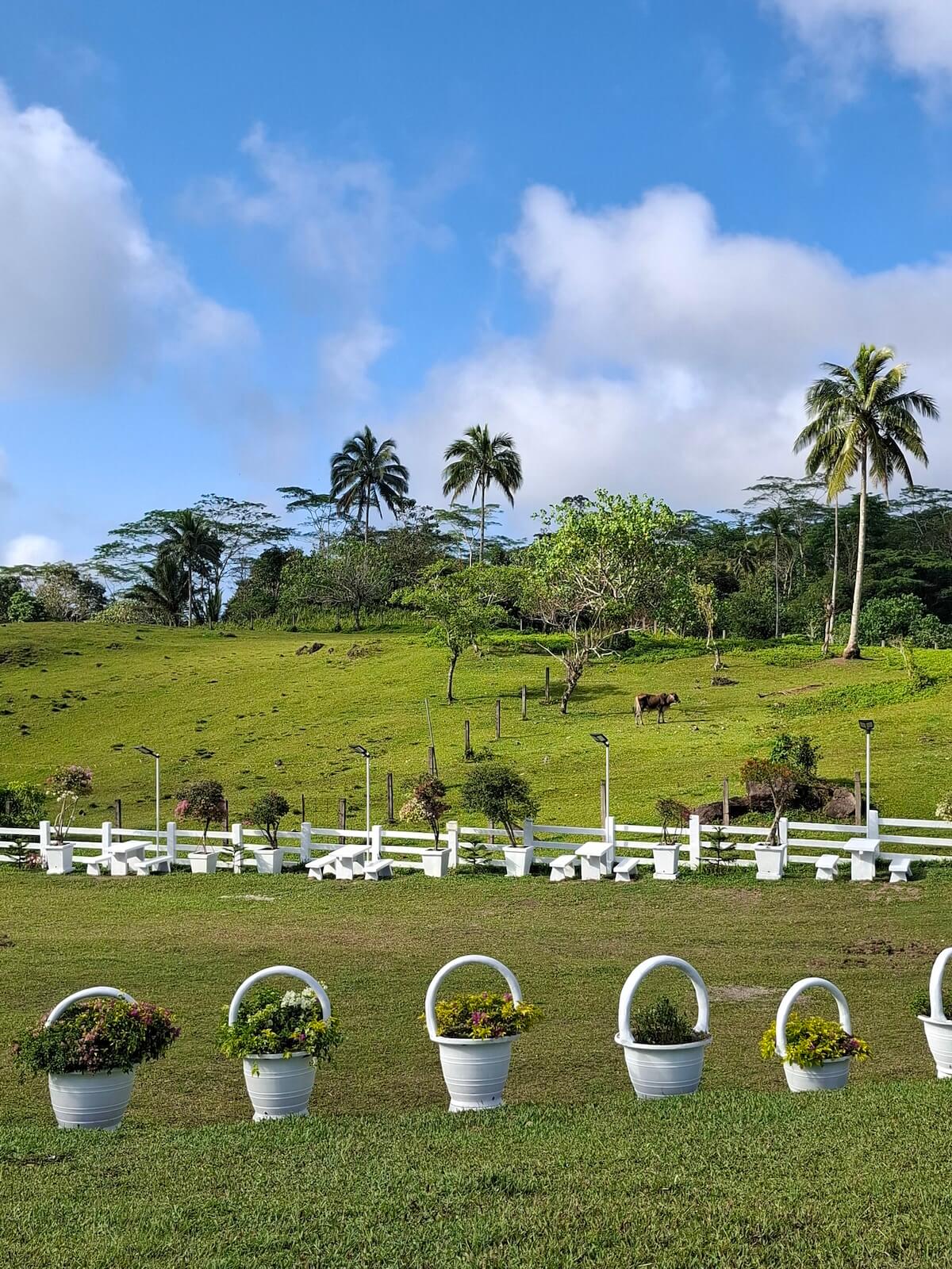 Scenic view of Granelandia
