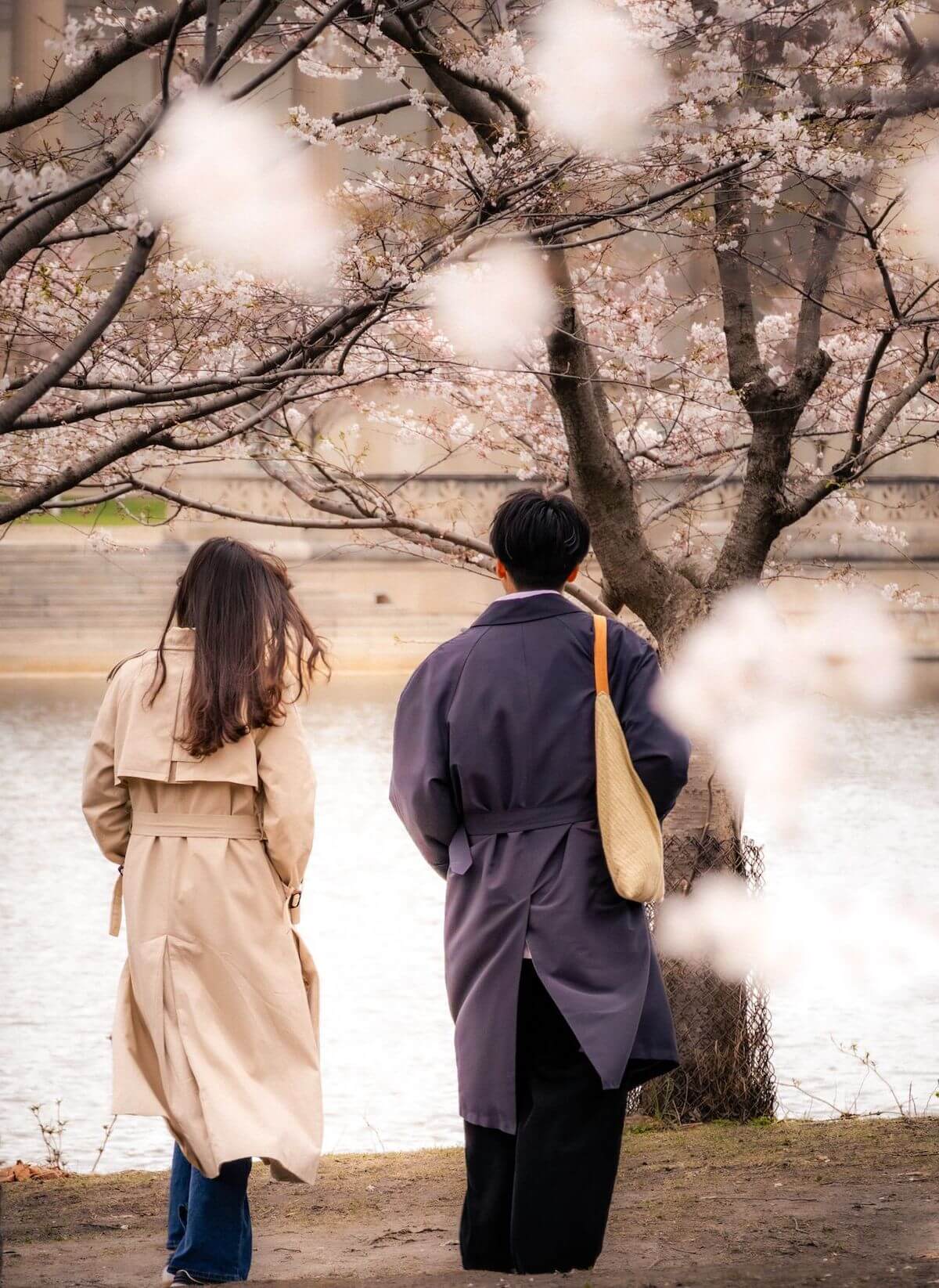 Japan spring