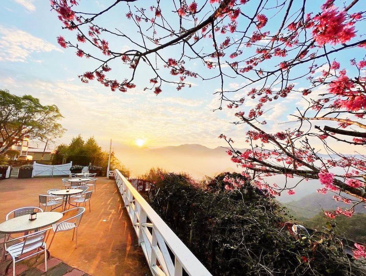 Alishan Tea Garden B&B is one of the best Alishan stays